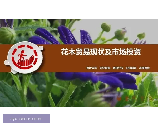 美加墨世界杯投注市场分析及投资机会探讨